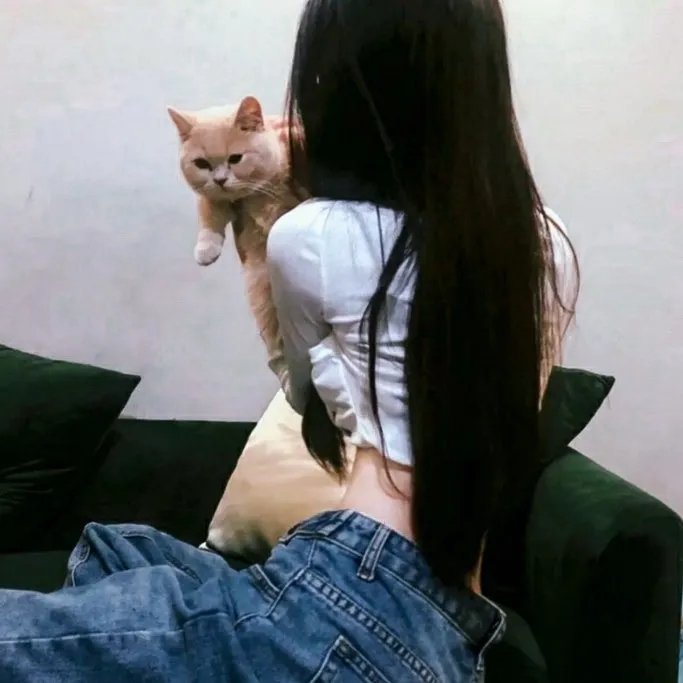红楼春怨